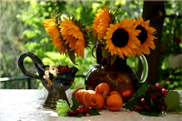 Still life with Sunflowers